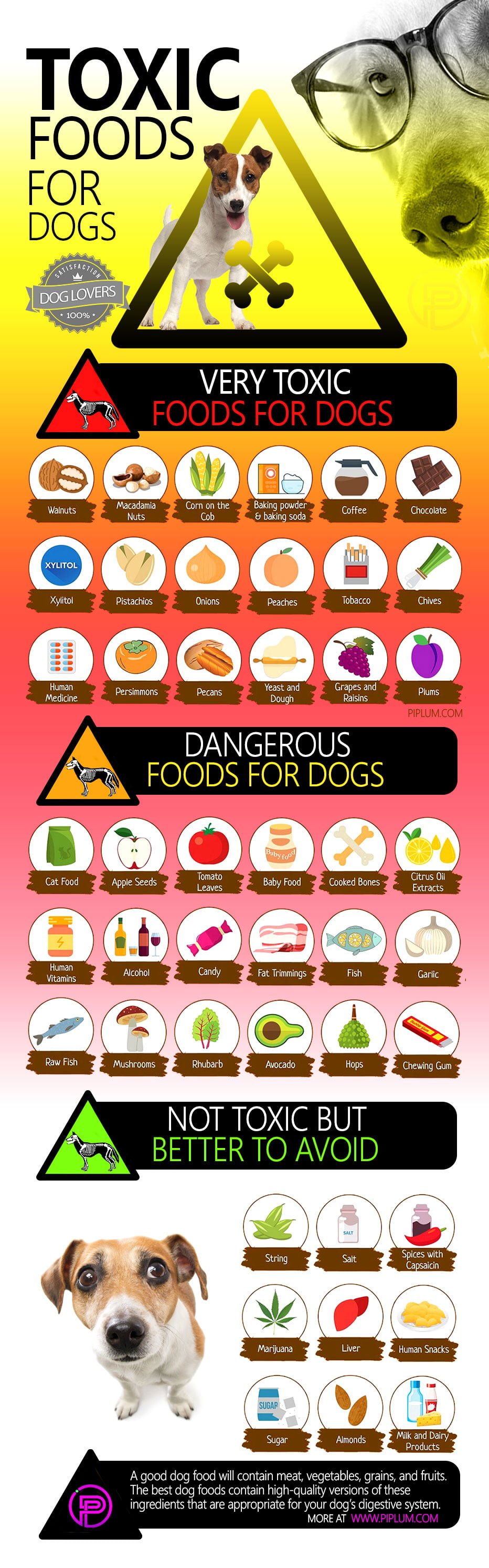 Toxic Foods for Dogs Poster