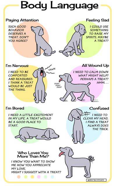 Always a treat. Dogs' body language