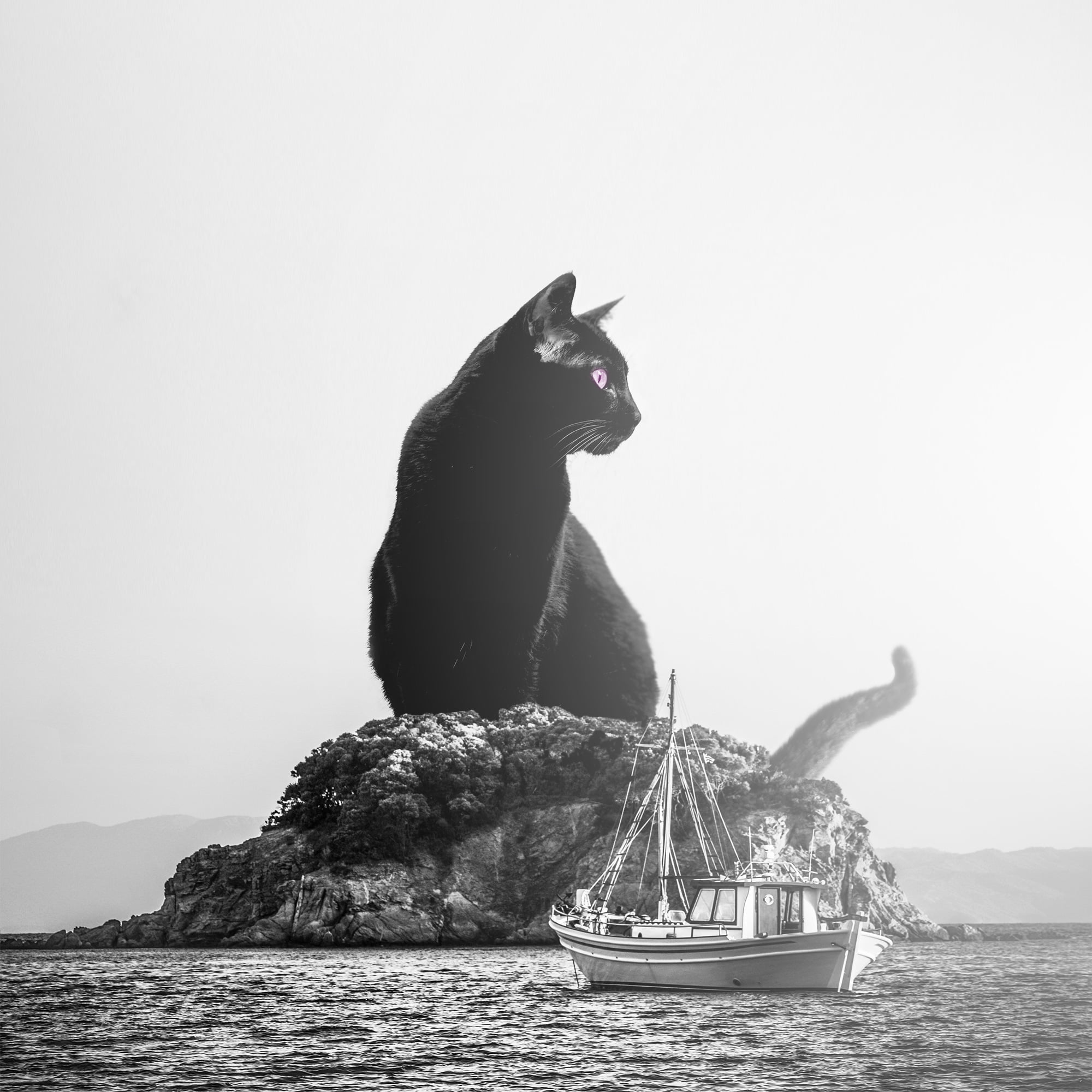 The Black Cat. Photo Manipulation. gigantic-black-cat-on-the-small-island-surreal-photography-art-purple-photo-manipulation-monster