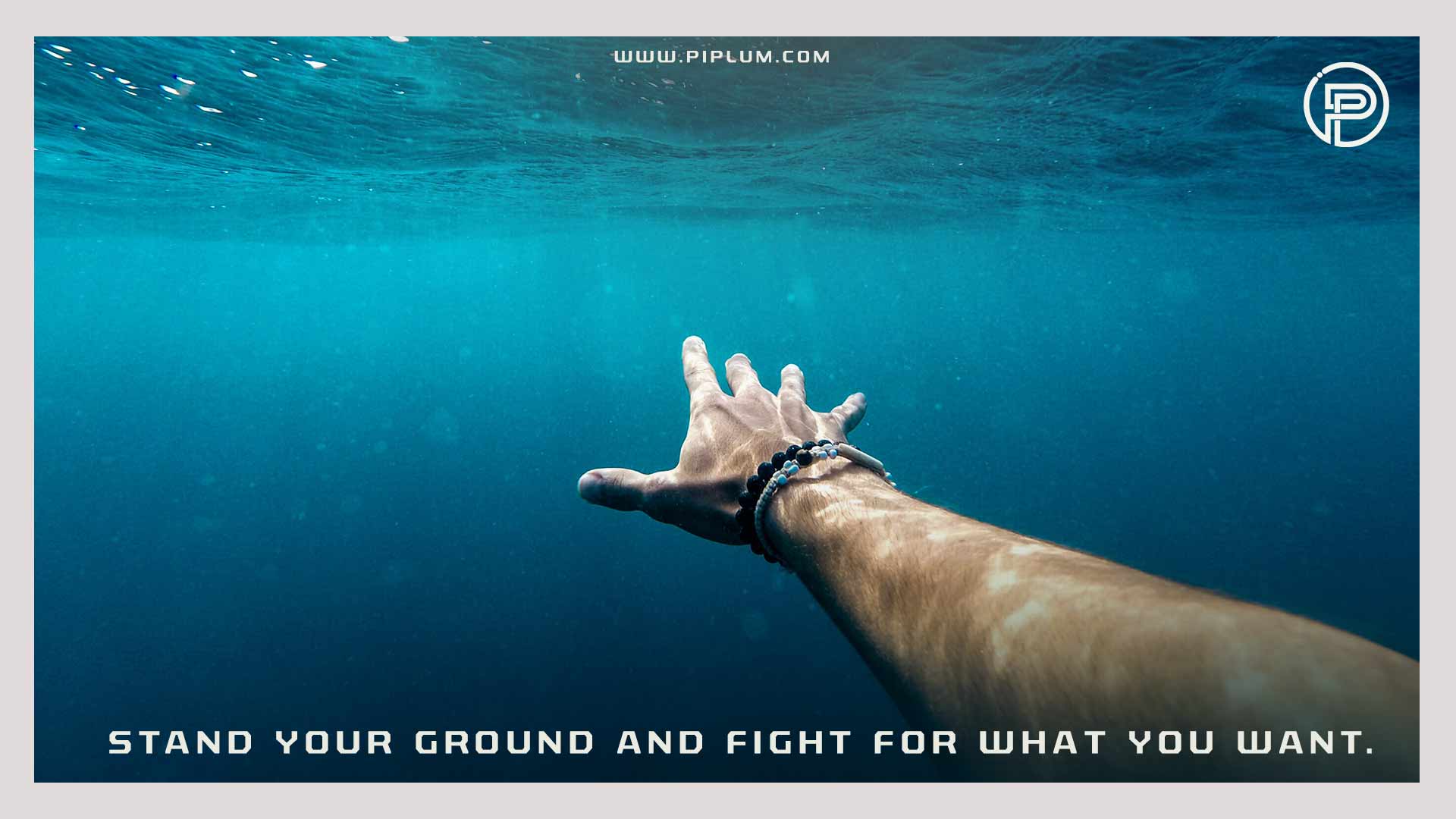 Don't give up. Stand your ground and fight for what you want. Inspirational crisis quote. Don't-give up-Stand-your-ground-and-fight-for-what-you-want-Inspirational-crisis-quote