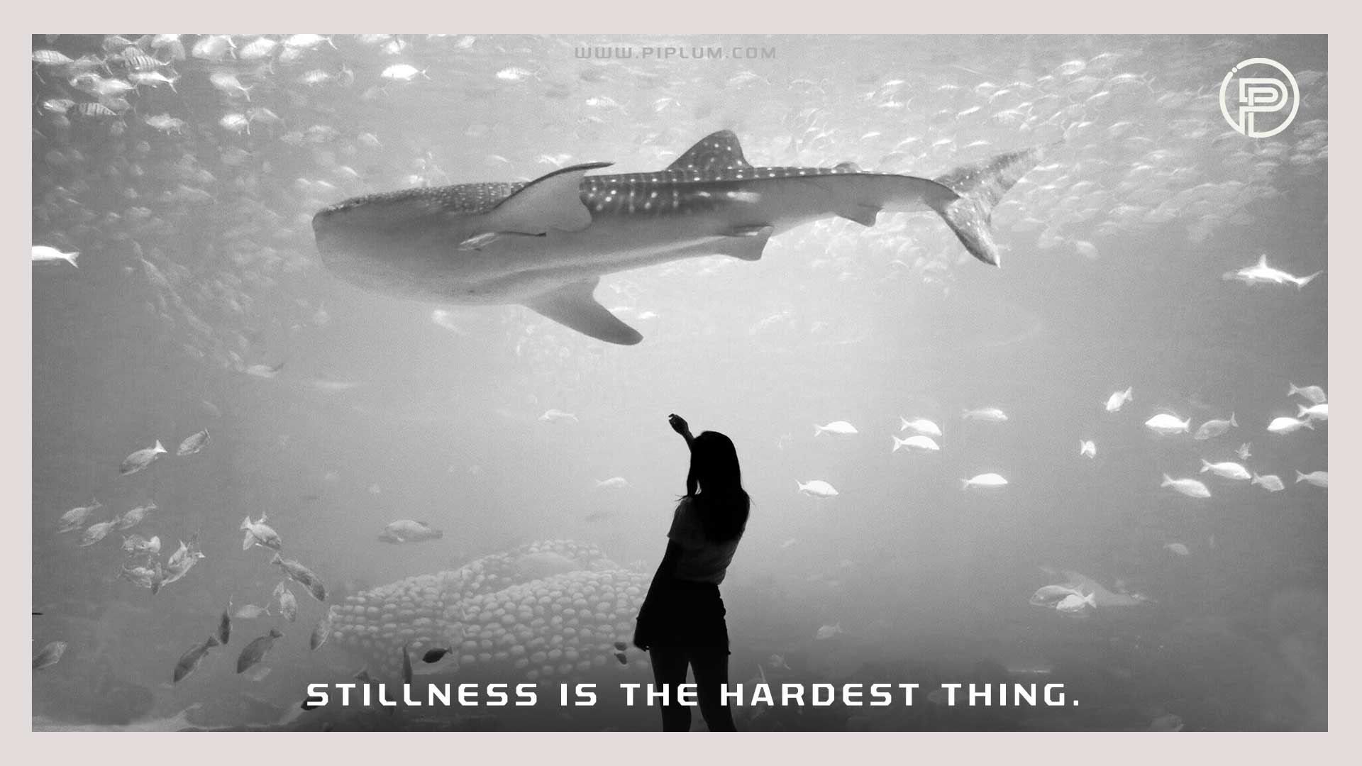  Stillness-is-the-hardest-thing-Motivational-crisis-quote