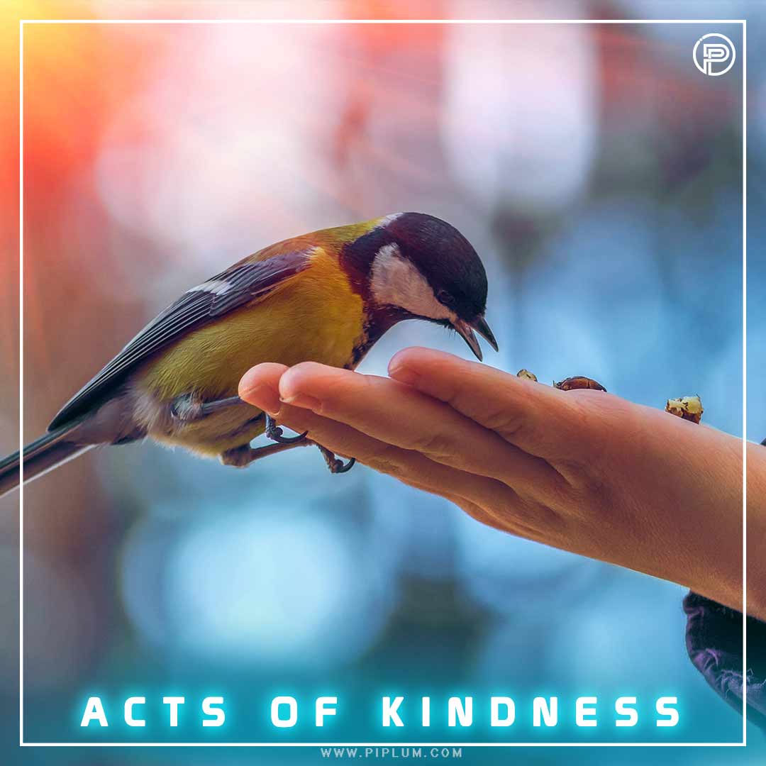 Being kind to others, whether friends or strangers, triggers loads of positive effects