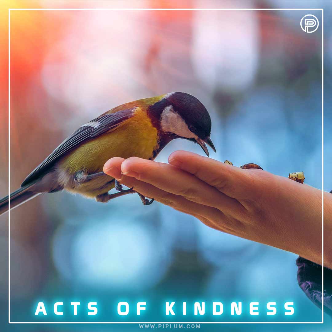 Being kind to others, whether friends or strangers, triggers loads of positive effects Being kind to others, whether friends or strangers, triggers loads of positive effects