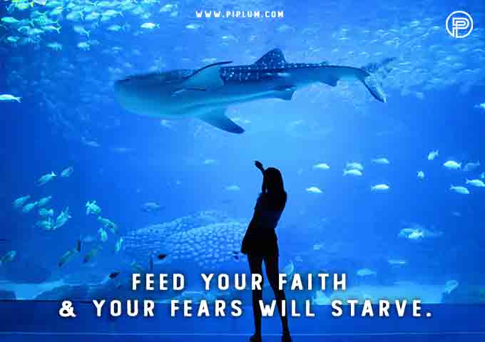 shark-underwater-Feed-your-faith-fears-will-starve-Inspirational-COVID-19-quote