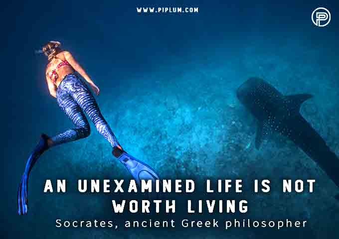 Ancient wisdom quote adaptation for Coronavirus. An unexamined life is not worth living. Ancient-wisdom-quote-adaptation-for-Coronavirus-An-unexamined-life-is-not-worth-living
