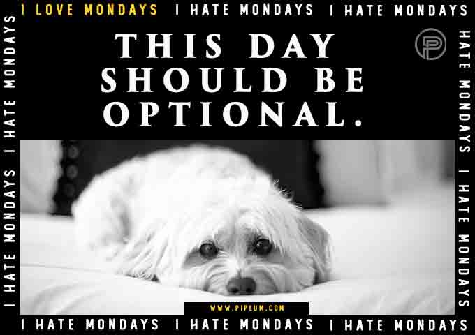 Monday as an optional day? Monday-as-an-optional-day-lazy-dog-in-the-bed