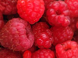 Raspberry oil features