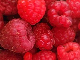 Raspberry oil features