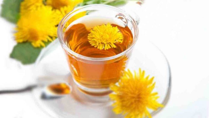Roasted dandelion roots tea - the natural way to boost your energy! A-cup-of-roasted-dandelion-tea-energy-in-the-morning