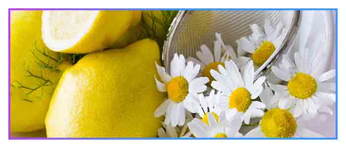 Chamomile brightens facial skin and hair. Chamomile-brightens-facial-skin-and-hair