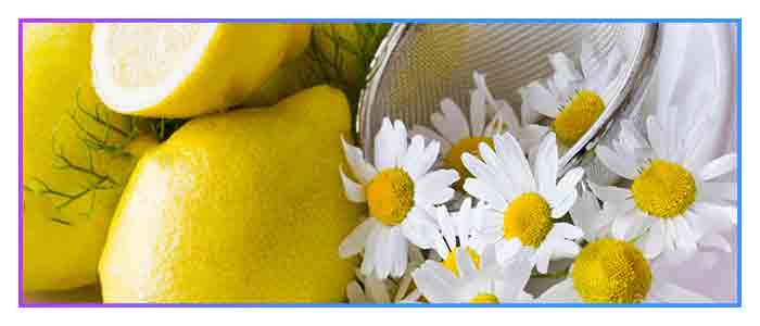 Chamomile-brightens-facial-skin-and-hair