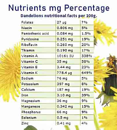 Dandelion-nutritional-facts