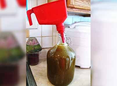 funnel-in-the jug-dandelion-wine-recipe