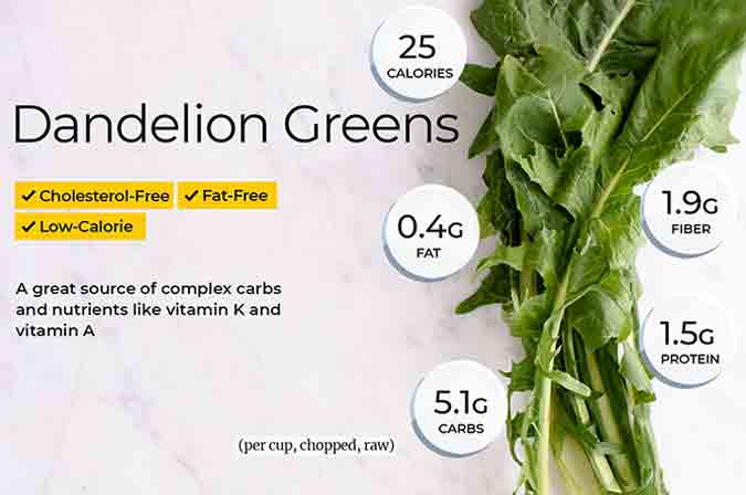The health benefits of dandelions are undeniable