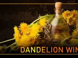 Homemade dandelion wine. Recipe of natural taste of nature.