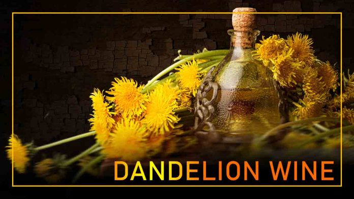 Homemade dandelion wine. Recipe of natural taste of nature.