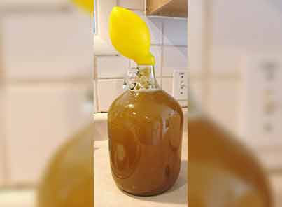 Dandelion-wine-Fermenting-in-progress