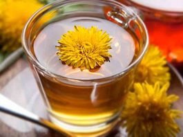 Dandelion-tea-and-health-benefits