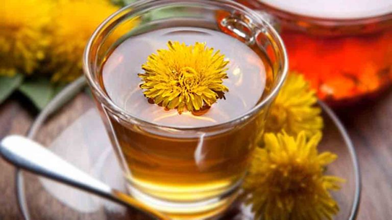 Health Benefits Of Dandelion Flower: Heals The Skin, Helps To Lose Weight, Protects Against Cancer