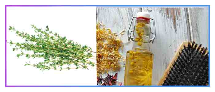 Thyme smoothes and tones the skin and the hair promotes its regeneration. Thyme smoothes and tones the skin, promotes its regeneration.