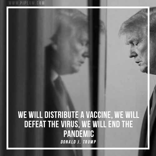 We'll defeat the virus. Vaccine quote by Donal J. Trump. 