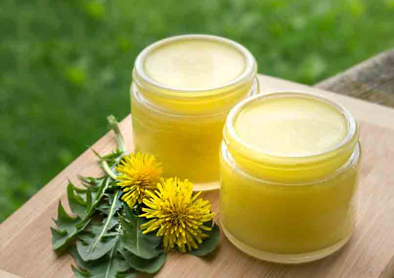 Dandelion Salve. Dandelion flower infused oil is often used in recipes designed to soothe and heal chapped or cracked skin Dandelion-Salve-flower-infused-oil-chapped-cracked-skin