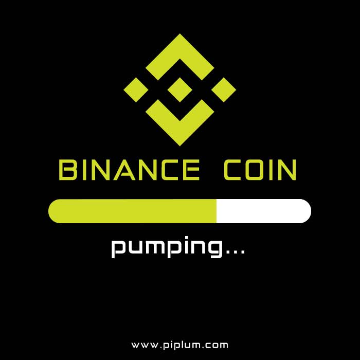Pumping-Binance-Coin-quote-BNB