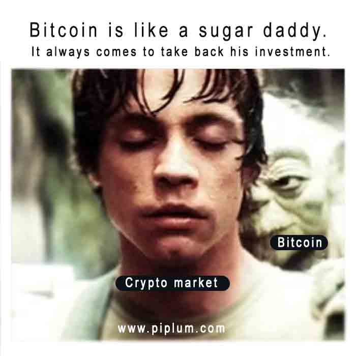 Bitcoin controls the crypto market. It's the sugar daddy of cryptocurrency. Bitcoin-controls-the-crypto-market-It's-the-sugar-daddy-of-cryptocurrency-funny-quote