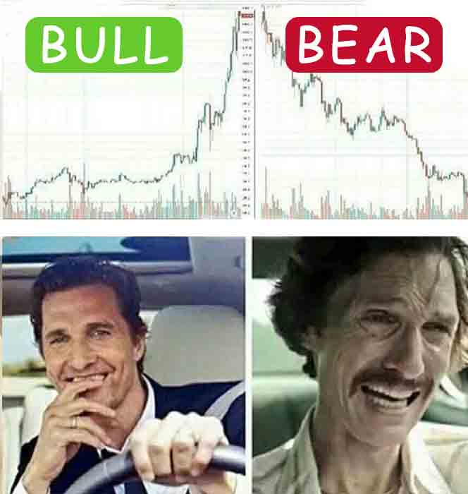 Bull market vs bear market. Funny crypto quote. Bull market vs bear market. Funny crypto quote.
