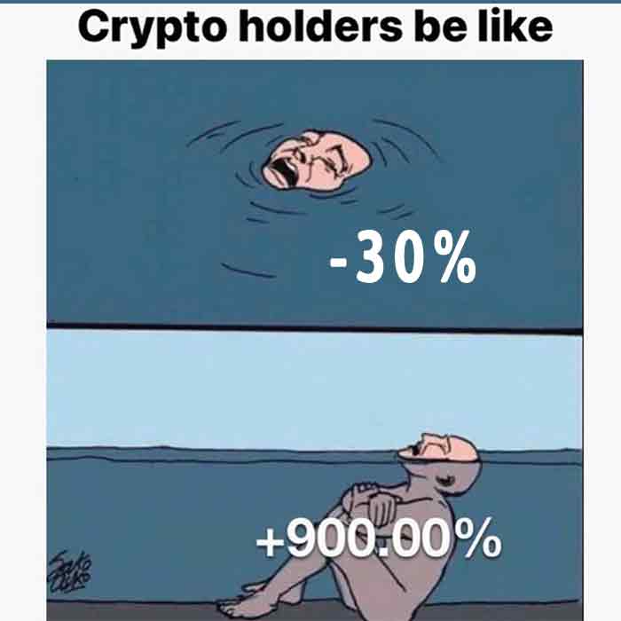 crypto-holder-sinking-under-water-funny-picture