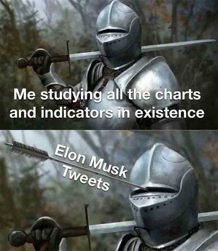 A funny crypto tweet by Elon Musk may change your trading experience instantly. A funny crypto tweet by Elon Musk may change your trading experience instantly.