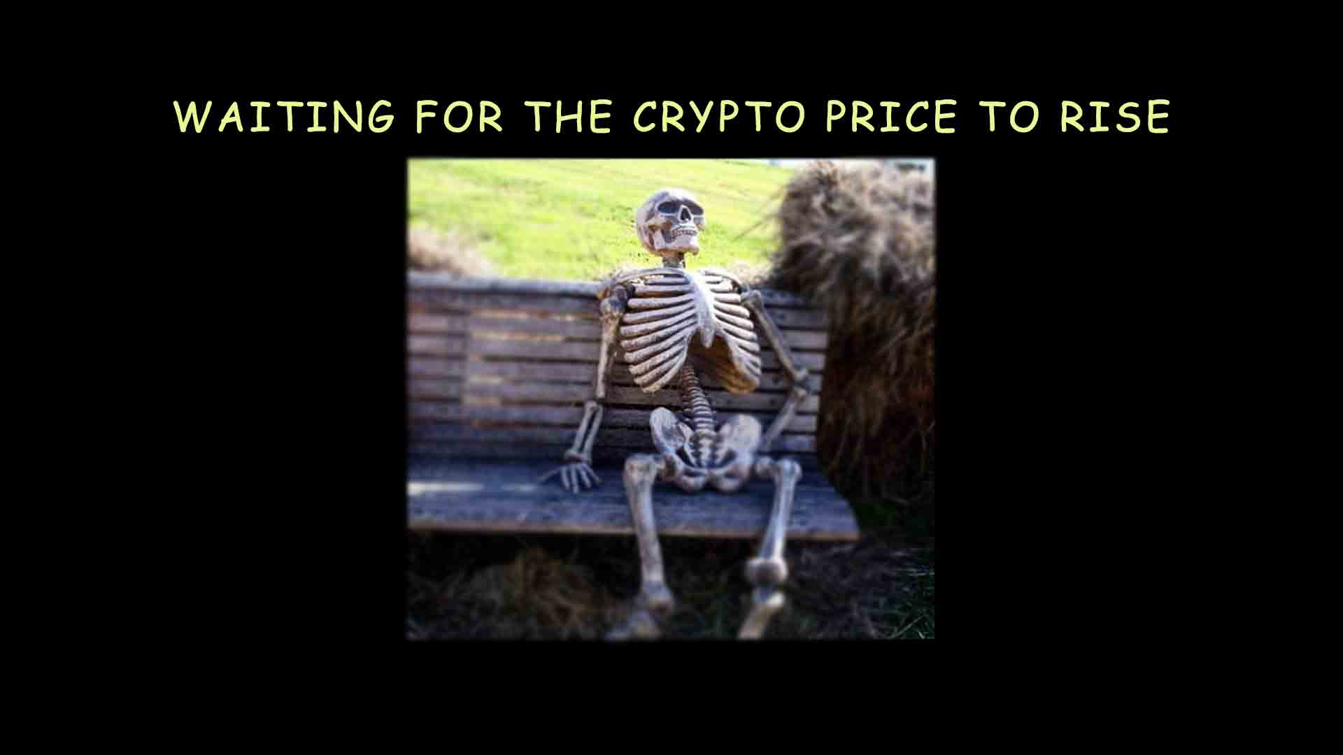 Waiting for the crypto price to rise. The funny reality of crypto holders.