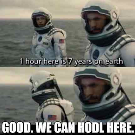 Perfect crypto holding place for crypto hodlers. Funny meme.