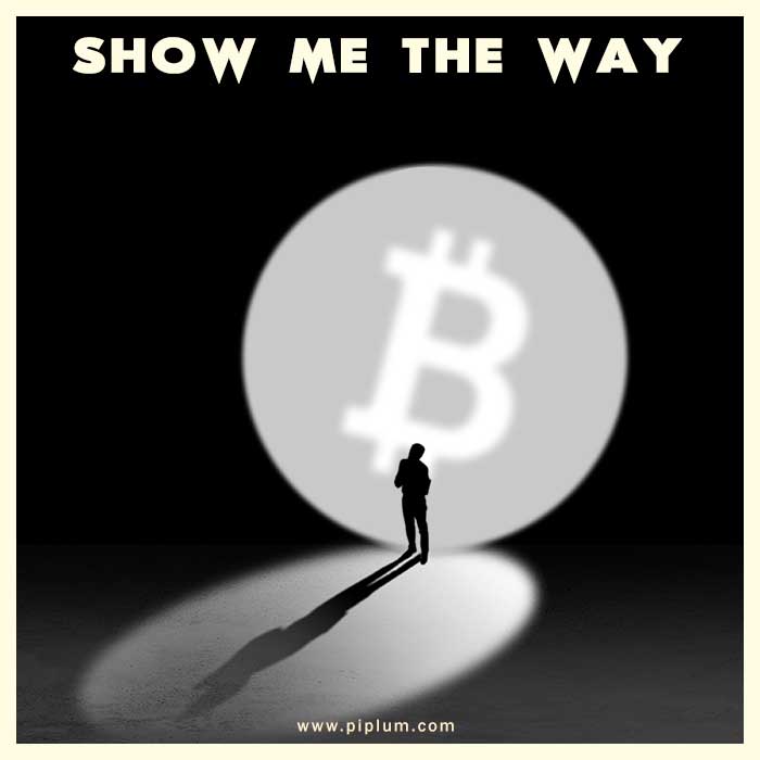 Show-me-the-way-The-importance-of-bitcoin-quote
