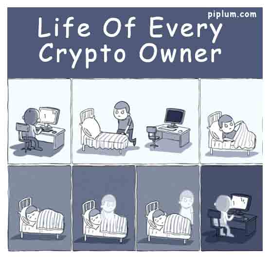 A funny life of every crypto owner... A-funny-life-of-every-crypto-owner-cartoon-no-sleep-hard-nights