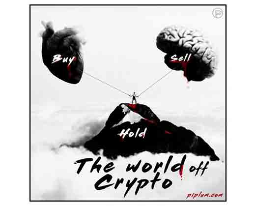 All-time high. Harsh and bloody crypto reality. Funny meme. all-time-high-Harsh-and-bloody-crypto-reality-Funny-meme.