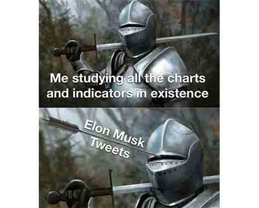 The impact of Elon Musk tweets. Crypto meme. 
