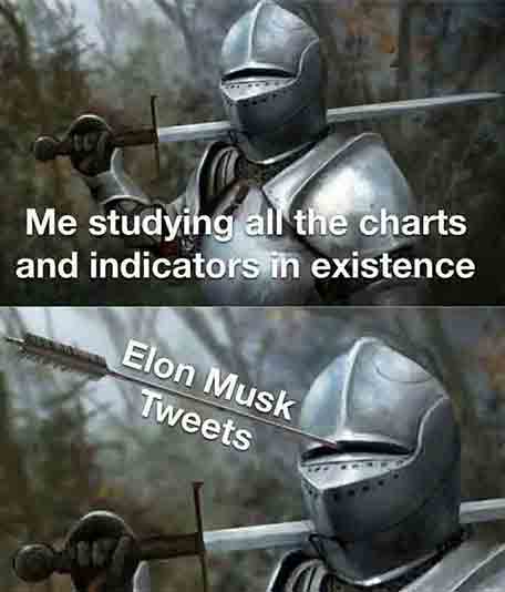 Elon-musk-funny-crypto-meme-tweet-twiter