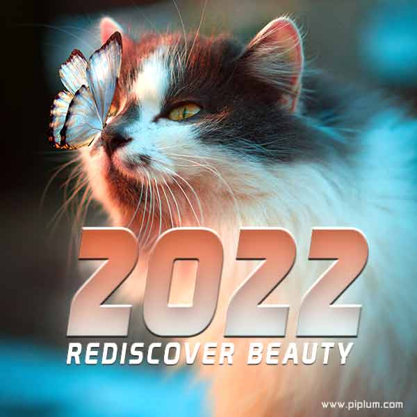 Rediscover beauty. Look for more beautiful things close to you in the year 2022. Rediscover-beauty-Look-for-more-beautiful-things-close-to-you-in-the-year-2022.