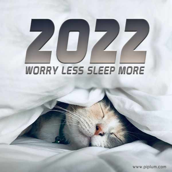 cat-in-bed-Worry-less-sleep-more-Cozy-2022-quote