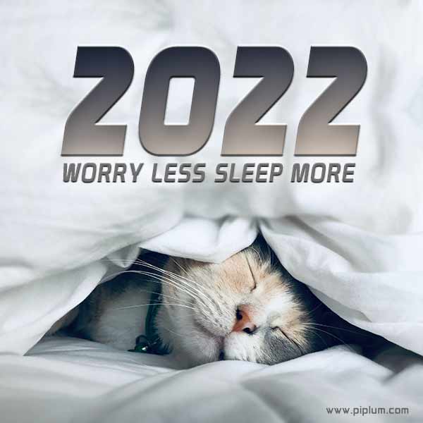 Worry less, sleep more. Cozy 2022 quote. cat-in-bed-Worry-less-sleep-more-Cozy-2022-quote