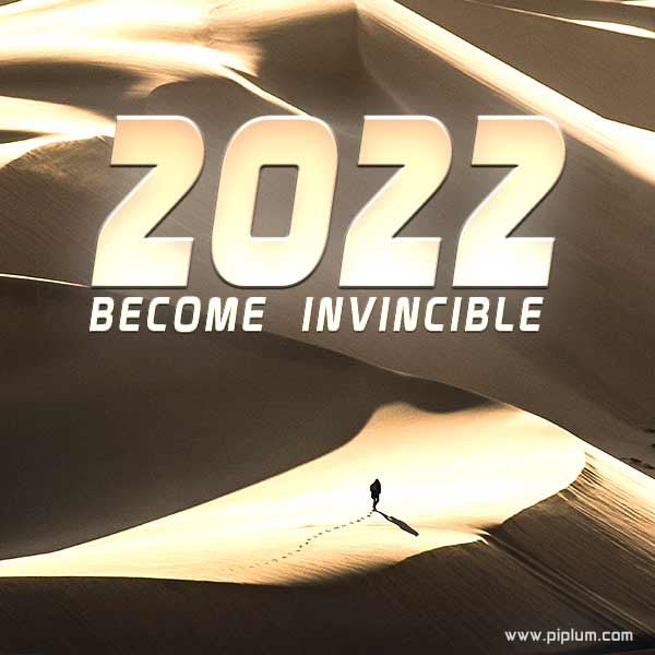 2022-invincible-year. 