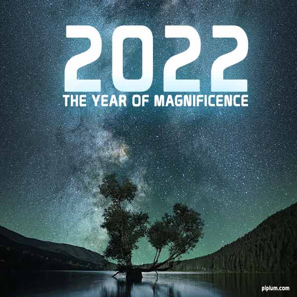 Year 2022 - when you will look up more! The-year-2022-when-you-will-look-up-more-space-bright-night-sky