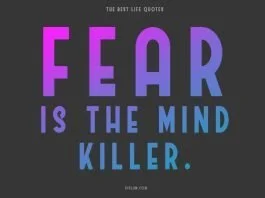 About-Life-Inspirational-Quotes.-Positive-Motivational-Uplifting-Words-Messages-About-Success-fear-is-the-mind-killer