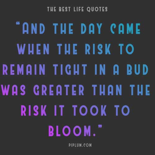Risks you took in the past might bloom in the future—just an amazing inspirational quote. Risks-you-took-in-the-past-might-bloom-in-the-future-just-an-amazing-inspirational-quote