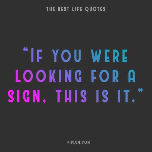 The quote about the sign. The-quote-about-the-sign