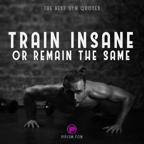ripped-man-Train insane-in-the-gym-motivational-push-ups-quote 