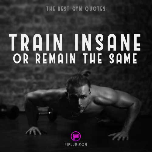 Train insane. Motivational push-ups quote. ripped-man-Train insane-in-the-gym-motivational-push-ups-quote