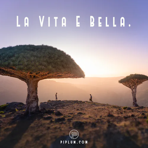 La Vita E Bella Quote strange inspiring quote about beautiful life