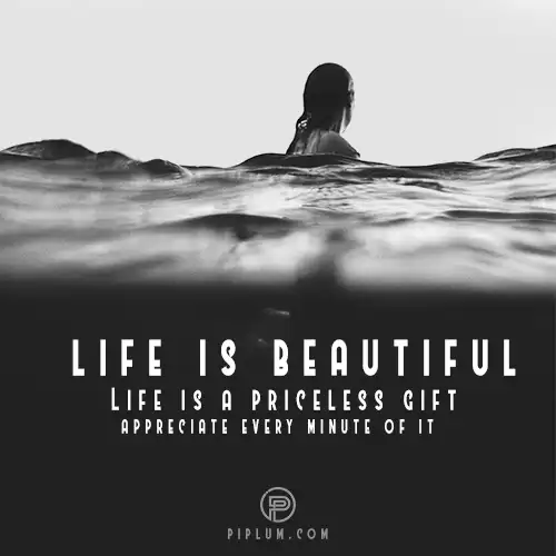Life is beautiful; life is a priceless gift, appreciate every minute. Quote. Life-is-beautiful-priceless-gift-appreciate-every-minute-Quote-picture-saying